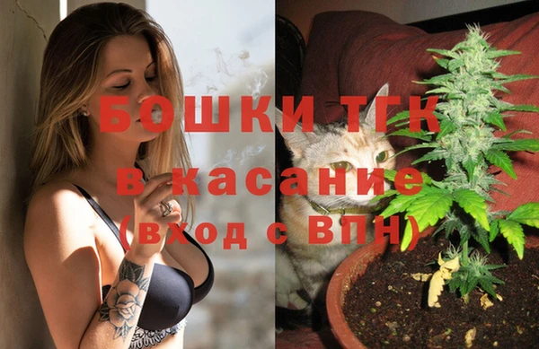 меф Новодвинск
