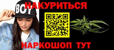 стаф Кингисепп