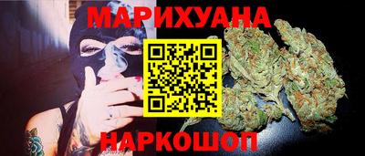 стаф Кингисепп