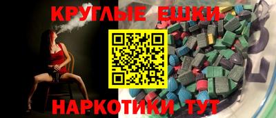 стаф Кингисепп