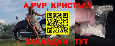 стаф Кингисепп