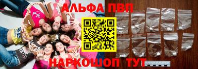 стаф Кингисепп