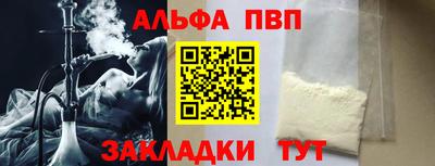 стаф Кингисепп
