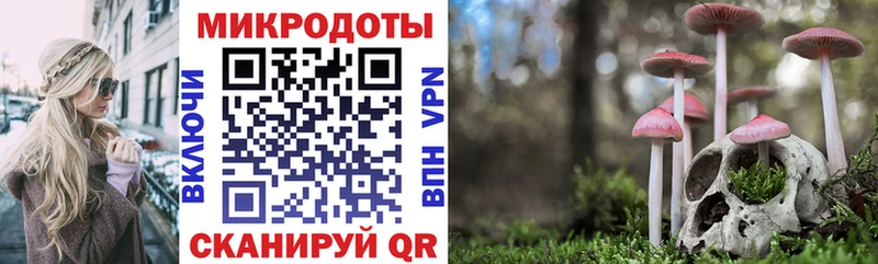 Псилоцибиновые грибы Magic Shrooms  Красноярск 