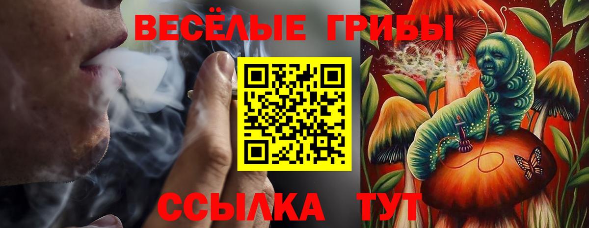 Красноярск  Галлюциногенные грибы Psilocybe  Псилоцибиновые грибы Psilocybe  Вход с VPN 